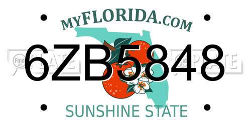 6ZB5848 Florida License Plate