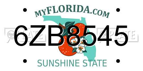 6ZB8545 Florida License Plate
