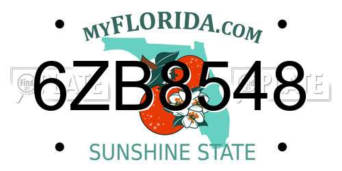 6ZB8548 Florida License Plate