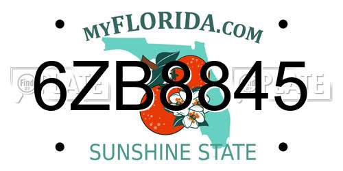 6ZB8845 Florida License Plate