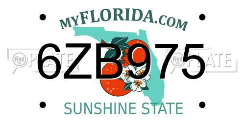 6ZB975 Florida License Plate