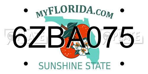 6ZBA075 Florida License Plate