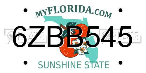 6ZBB545 Florida License Plate