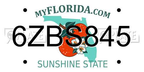 6ZBS845 Florida License Plate