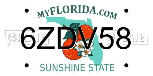 6ZDV58 Florida License Plate