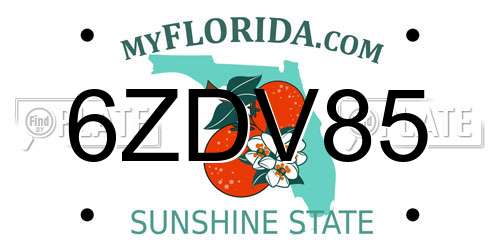 6ZDV85 Florida License Plate