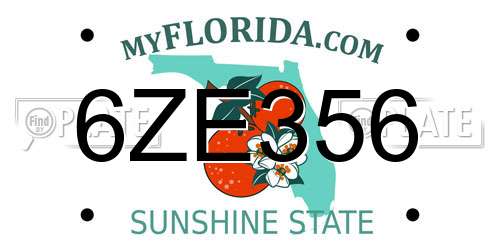 6ZE356 Florida License Plate