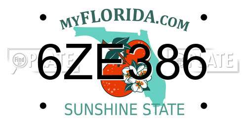 6ZE386 Florida License Plate
