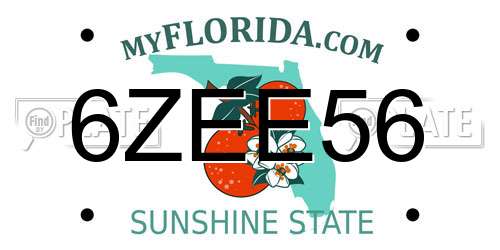 6ZEE56 Florida License Plate