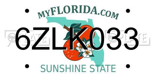 6ZLK033 Florida License Plate