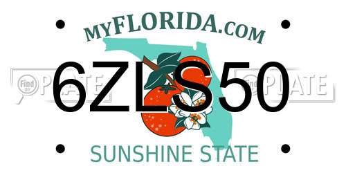 6ZLS50 Florida License Plate