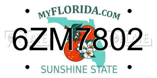 6ZM7802 Florida License Plate