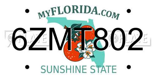 6ZMT802 Florida License Plate