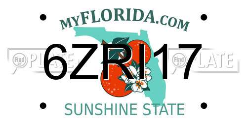 6ZRI17 Florida License Plate