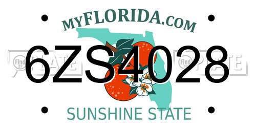 6ZS4028 Florida License Plate
