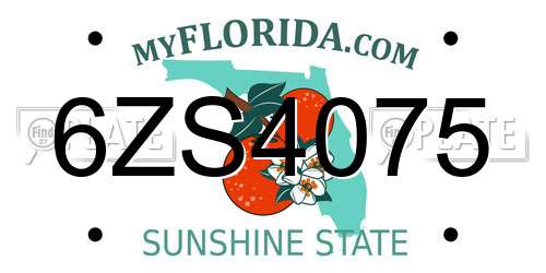 6ZS4075 Florida License Plate
