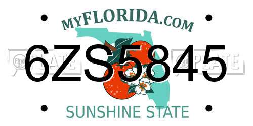 6ZS5845 Florida License Plate