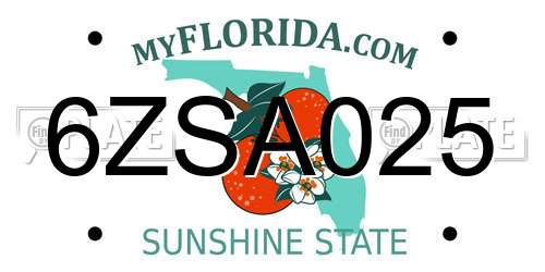 6ZSA025 Florida License Plate