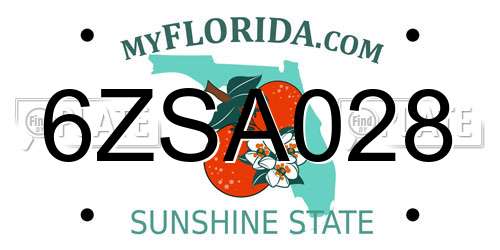 6ZSA028 Florida License Plate