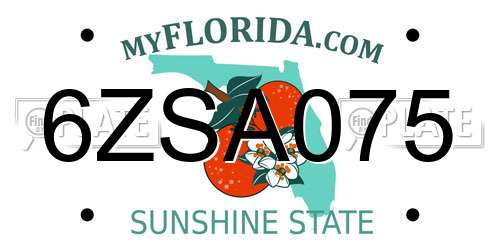 6ZSA075 Florida License Plate