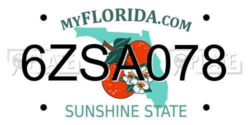 6ZSA078 Florida License Plate