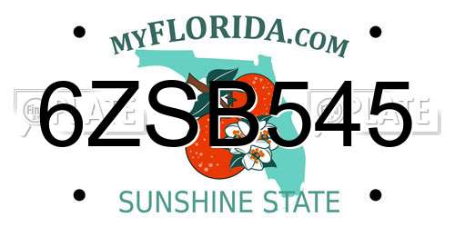 6ZSB545 Florida License Plate