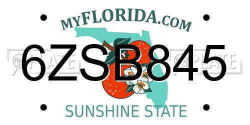 6ZSB845 Florida License Plate