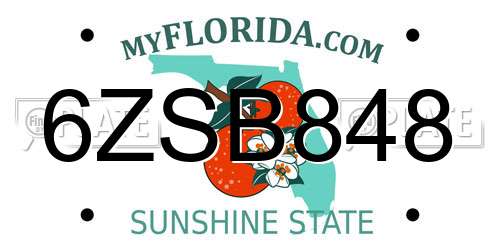 6ZSB848 Florida License Plate
