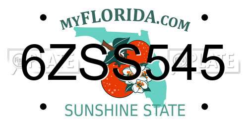 6ZSS545 Florida License Plate