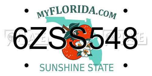 6ZSS548 Florida License Plate