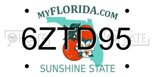 6ZTD95 Florida License Plate