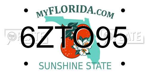 6ZTO95 Florida License Plate