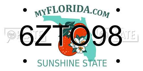 6ZTO98 Florida License Plate
