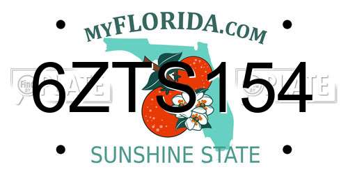 6ZTS154 Florida License Plate
