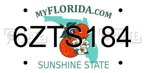 6ZTS184 Florida License Plate