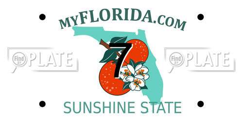 7 Florida License Plate