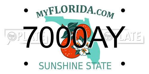 7000AY Florida License Plate