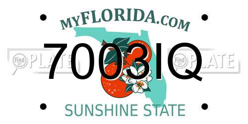 7003IQ Florida License Plate