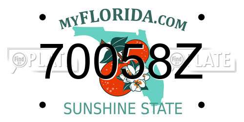 70058Z Florida License Plate