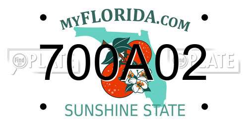700A02 Florida License Plate