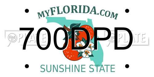 700DPD Florida License Plate