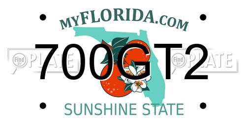 700GT2 Florida License Plate