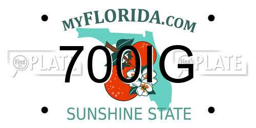 700IG Florida License Plate