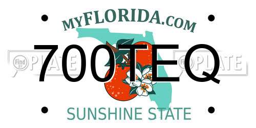 700TEQ Florida License Plate