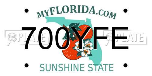 700YFE Florida License Plate