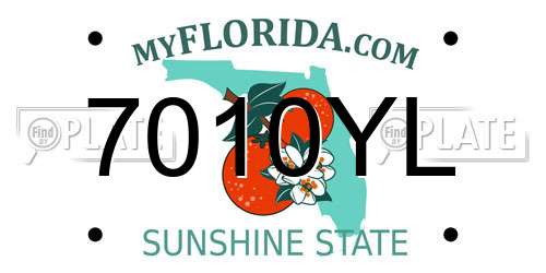 7010YL Florida License Plate