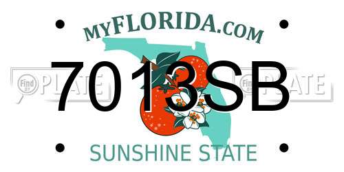 7013SB Florida License Plate