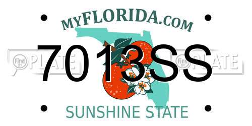 7013SS Florida License Plate