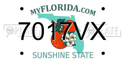 7017VX Florida License Plate
