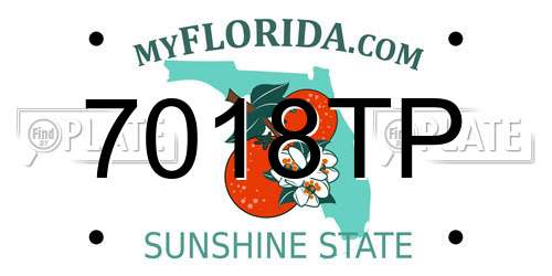 7018TP Florida License Plate